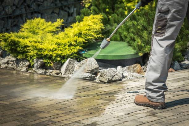 Best Warehouse Cleaning  in Celoron, NY