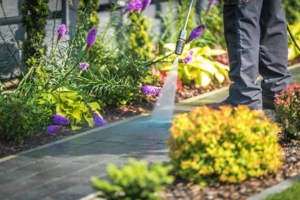 Best Fence Cleaning  in Celoron, NY