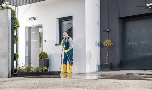 Best Dumpster Area Cleaning  in Celoron, NY